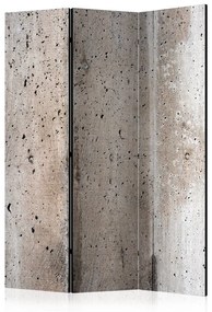 Paravento Old Concrete [Room Dividers]  Colore ---, Dimensioni e Misure 135x172