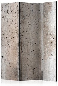 Paravento Old Concrete [Room Dividers]