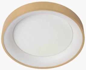 Plafoniera a LED con luce regolabile Vidal