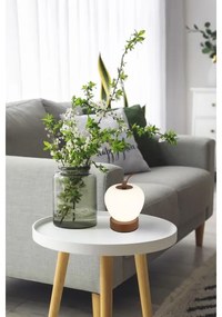 Globo 21011 - Lampada da tavolo LED dimmerabile EVALINA LED/2W/3,7V