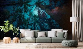 Carta da parati – Notte nel bosco