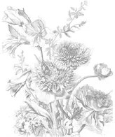 KEK Amsterdam Carta da parati panoramica Engraved Flowers 2 - XS