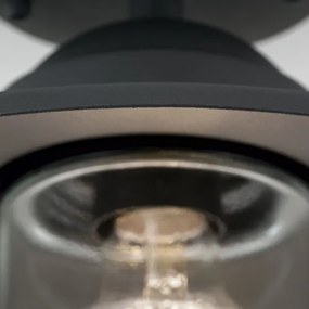 Orion AL 11-1317 - Lampadario da esterno EDWARD 1xE27/60W/230V IP44 nero