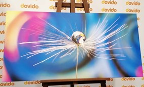 Quadro su tela – Goccia di rugiada su sfondo astratto