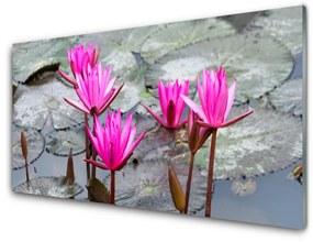 Quadro in vetro acrilico Fiori, piante, natura 100x50 cm