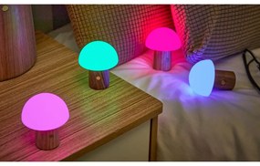 Lampada da tavolo con intensità regolabile di colore naturale in frassino massiccio (altezza totale 7 cm) Alice – Gingko