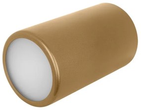 Faretto CLEO 1xE27/24W/230V oro