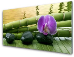 Pannello cucina paraschizzi Pietre di fiori Natura di bambù 100x50 cm