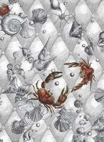 Meeres-Tapete Coquillage & Crustacés - Blanc