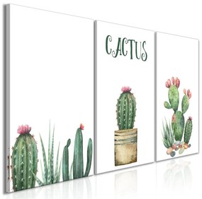 Quadro  Prickly Flowers (3 Parts)  Colore Bianco, Dimensioni e Misure 120x60