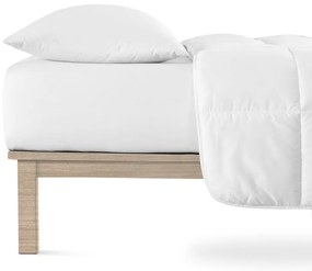 Lenzuolo elastico in jersey bianco 180x200 cm Boxspring - Andrea Simone