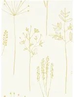 Gräser Tapete Stipa von Scion - Honey
