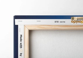 Quadro su tela – Fata al chiaro di luna