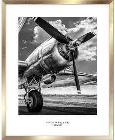 Cornice dorata da appendere, 43 x 53 cm Floryda - Styler