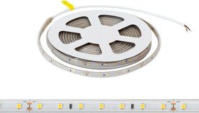 Striscia LED 24V 5W/m Alta Efficienza Professionale - IP67 - 5 metri