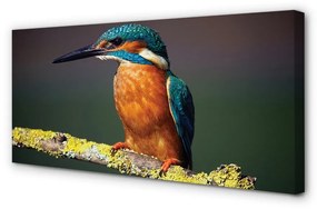 Quadro su tela Uccello colorato su un ramo 100x50 cm