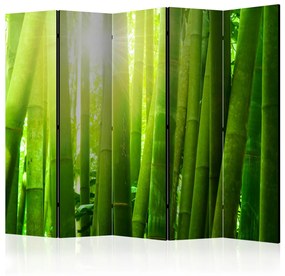Paravento design Sole in mezzo al verde II (5 pezzi) - foresta di pali di bambù