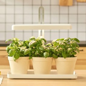 LED Lampada da interni per la coltivazione di piante LED/20W/5V 3500K