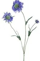 Set 6 Rami Artificiali Fiore di Scabiosa con 3 Diramazioni H 64 cm