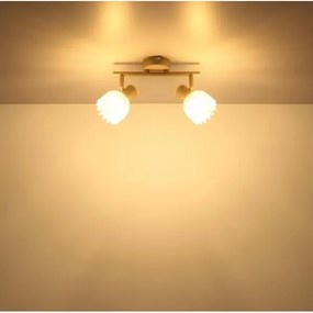 Globo 54317-2 - Faretto PLANTA 2xE14/40W/230V