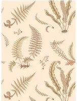 GP & J Baker Carta da parati Ferns - Parchment
