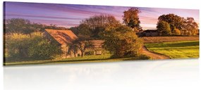 Stampa su tela – Paesaggio rurale