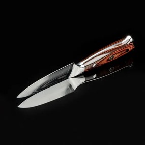 Gudaro - Coltello da cucina in acciaio damascato FENG 3,5", 67 strati d'acciaio, lunghezza 9,5 cm