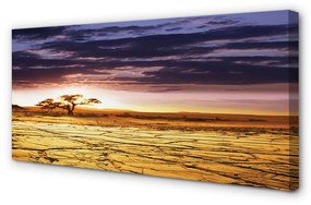 Stampa quadro su tela Clouds del paradiso degli alberi 100x50 cm