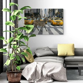 Quadro su tela – Zebra a New York