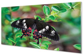 Quadro in vetro Farfalla color foglia 100x50 cm