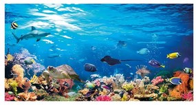 Stampa su tela Reef, multicolore 145 x 75 cm