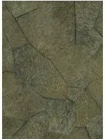 Élitis Carta da parati Pampa - VP 967 62