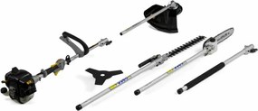 Alpina - Decespugliatore multifunzione 5 in 1 motore 2 tempi amt 26