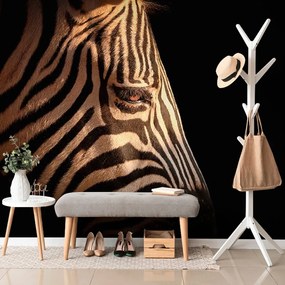 Carta da parati – Ritratto di zebra