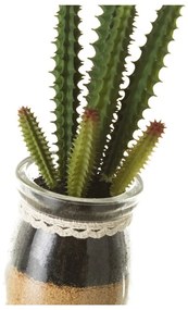 Piante artificiali in set da 4 (altezza 18 cm) Cactus - Casa Selección