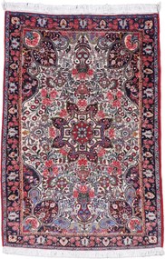 Sarouk Tappeto persiano 100x150 (Iran) Annodato A Mano