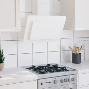 Cappa A Parete 60 Cm İn Acciaio Inox E Vetro Temperato Bianco /