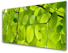 Pannello retrocucina Foglie di piante naturali 100x50 cm