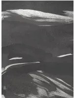 Coordonne Carta da parati panoramica Marine Xray Metallics - Onyx