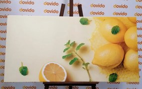 Stampa su tela – Limoni con menta