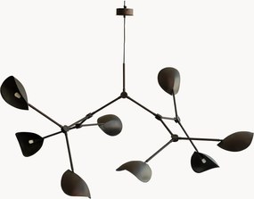 Lampadario grande Stingray, in varie misure