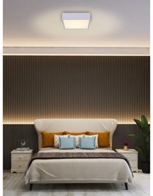 Immax NEO 07238L - Plafoniera LED dimmerabile CANTO 22W/230V bianco Tuya +RC