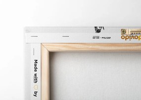 Quadro su tela – Coppia innamorata sotto il vischio in bianco e nero