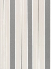 Osborne & Little Tapete Peruzzi Stripe - Charcoal