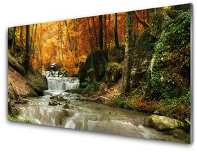 Quadro in vetro acrilico Cascata della natura della foresta 100x50 cm