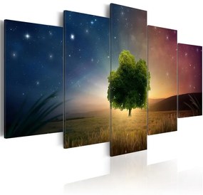 Quadro Starry Nights