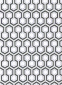 Cole & Son Carta da parati Hicks Hexagon - Schwarz/ Grau