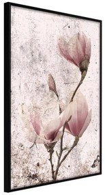 Poster  Queen of Spring Flowers II  Cornice Quadri Cornice nera, Larghezza x Altezza Home decor 30x45