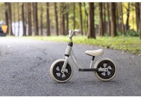 QPlay - Bicicletta senza pedali TRAINER argento