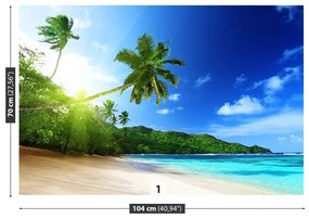 Carta da parati Spiaggia a Seychelles 104x70 cm